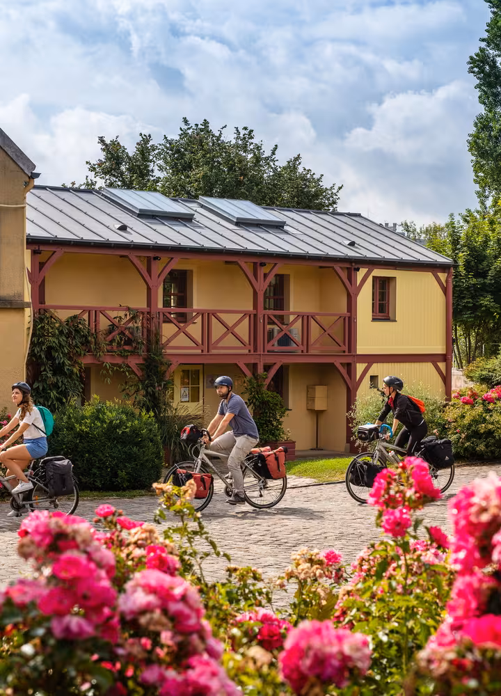 Arrivée de cyclistes au musée Fournaise sur l'île de Chatou