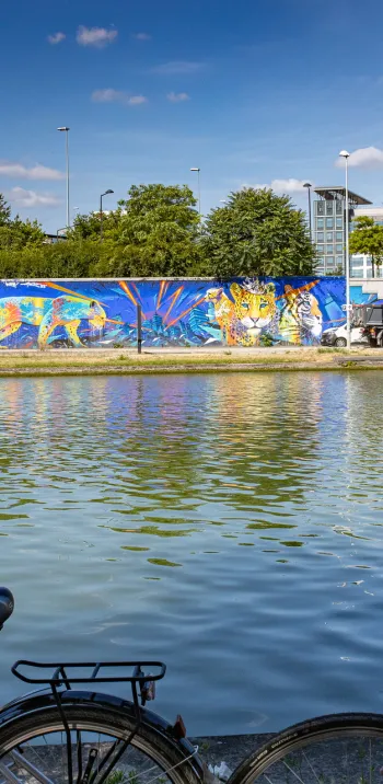 Canal Saint-Denis Street Art Avenue 