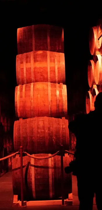 distillerie-pere-magloire_calvados-experience_calvados-attractivite.JPG