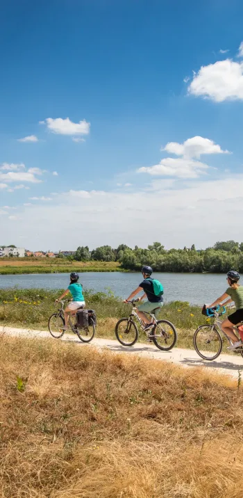 Traversée du Parc du Peuple de l'Herbe à Carrières-sous-Poissy