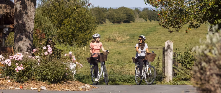 Arrivée au gîte des cigognes à vélo